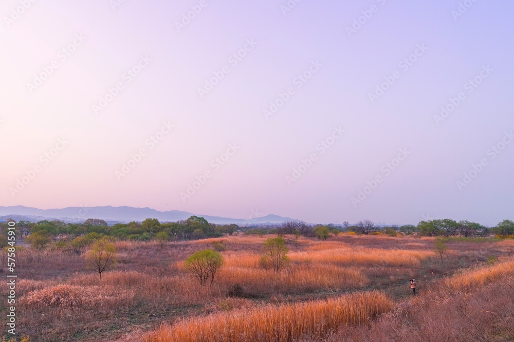 Obraz premium 습지의 봄