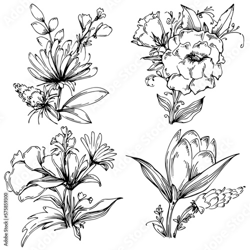Line drawing flowers  wild flowers  hand drawn vector illustration.