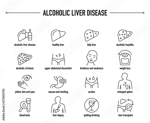 Alcoholic Liver Disease symptoms, diagnostic and treatment vector icon set. Line editable medical icons.