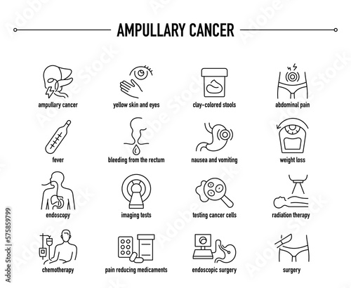 Ampullary Cancer symptoms  diagnostic and treatment vector icon set. Line editable medical icons.