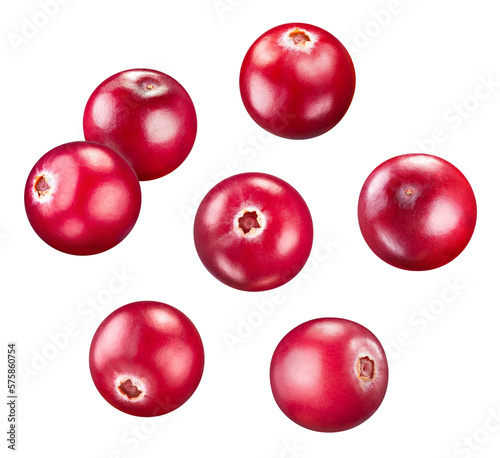 Cranberry collection isolated on white background. Cranberry set Clipping Path. Cranberry macro studio photo