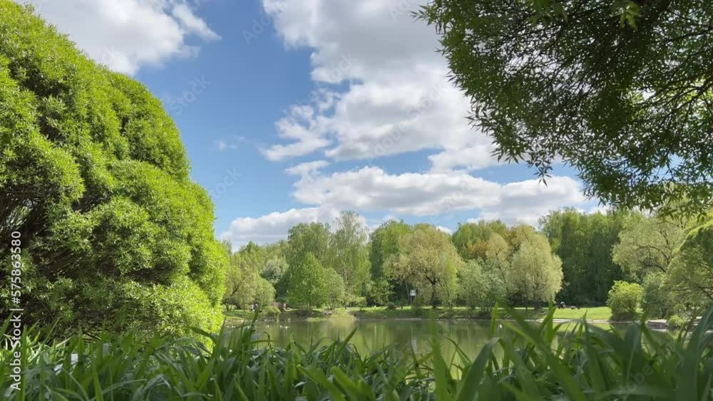 landscape with lake. a small lake, green trees and blue sky with clouds in the background landscape with lake. a small lake, green trees and blue sky with clouds in the background