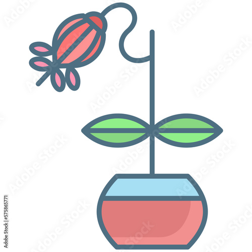 bleeding heart vine icon