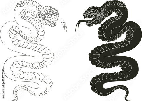 colorful Snakes and flowers. Tattoo design. Hand drawn snake vector illustration.Traditional Japanese culture for printing and coloring book on background.
