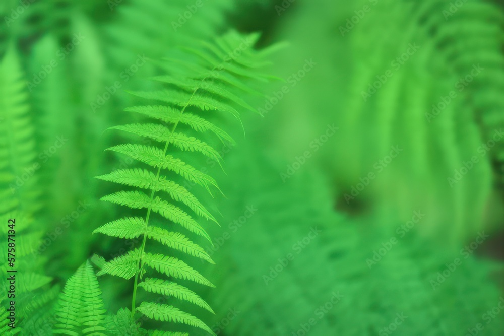 green fern leaves background created with generative AI green fern leaves background created with generative AI