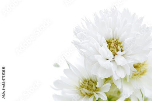 white flowers on white background created with generative AI