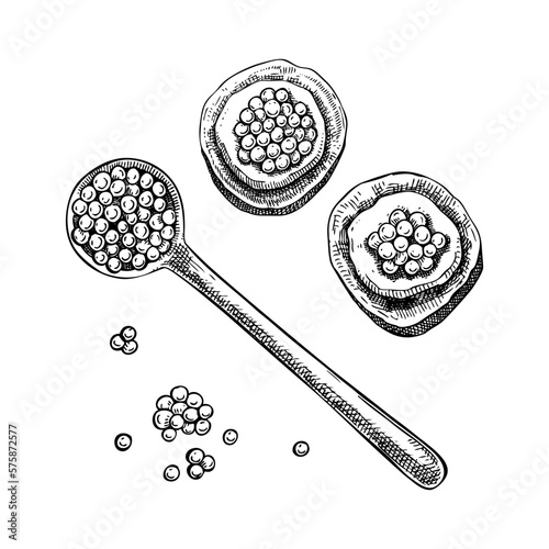 Hand drawn red caviar sketches set. Caviar canape with bread slice and cream cheese, in spoon vector drawings in engraved style. Seafood delicacy illustrations set for restaurant or finger food menu