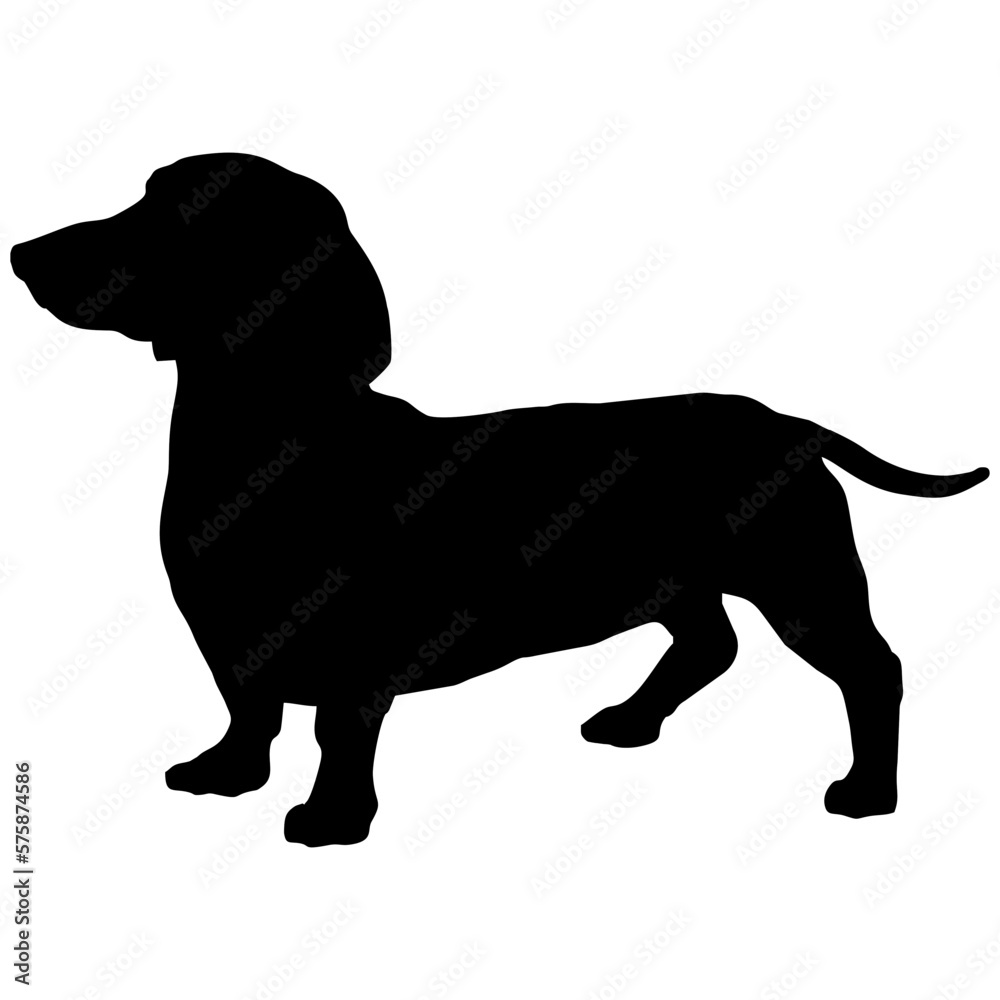long body dog silhouette
