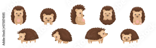 Cute Brown Hedgehog in Various Poses Vector Set