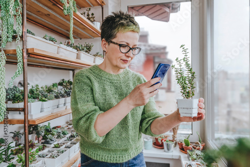 Mature woman taking photo of potted plant through smart phone at home photo