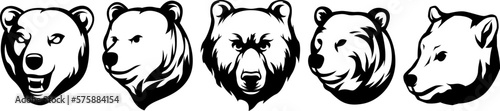 Head of bear. Abstract character illustration variant set. Graphic logo design template for emblem. Image of portrait.