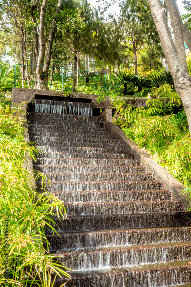 view of tropical Madeira Monte Palace garden in Funchal in its japanese and upper waterfall part during a sunny day in february with its natural beauty