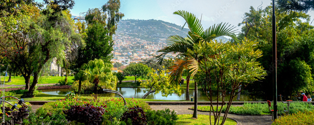 view of Funchal city center from Santa Catarina park - parque de Santa Catarina on sunny winter day in february