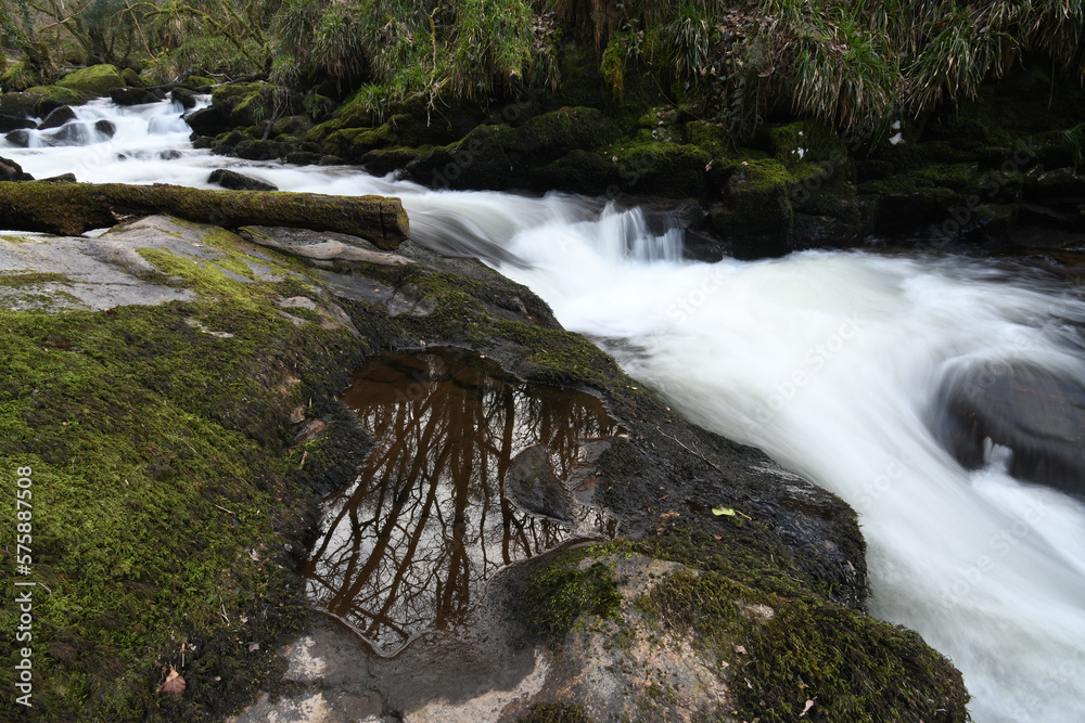 Fototapeta premium A pool besides Golitha Falls Bodmin Moor Cornwall