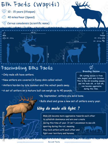 elk facts and infographic