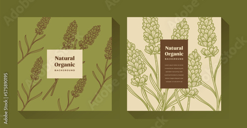 Natural Organic Green Plant Illustration