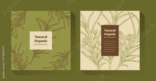 Natural Organic Green Plant Illustration