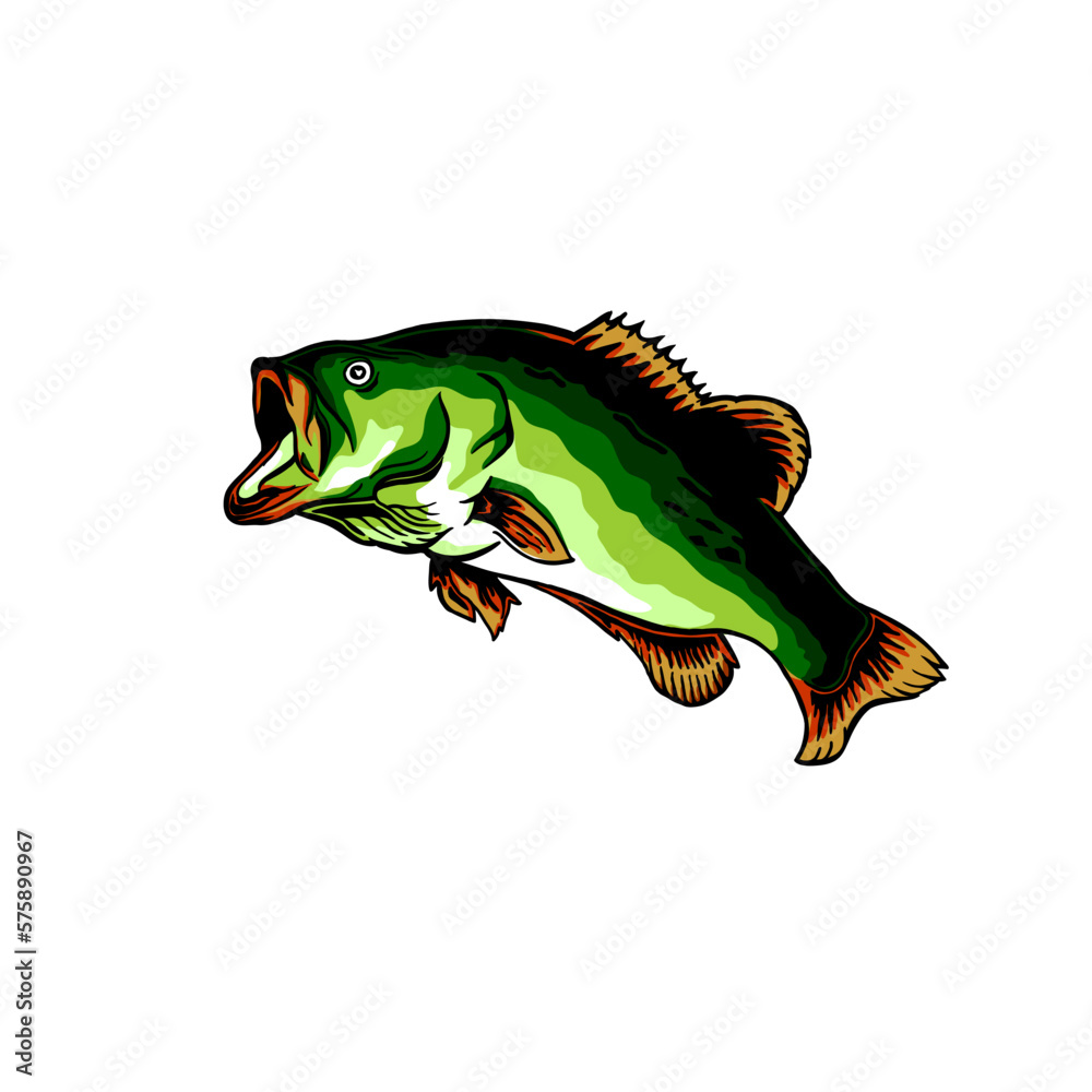 Fototapeta premium Black Bass Fish Vector illustration