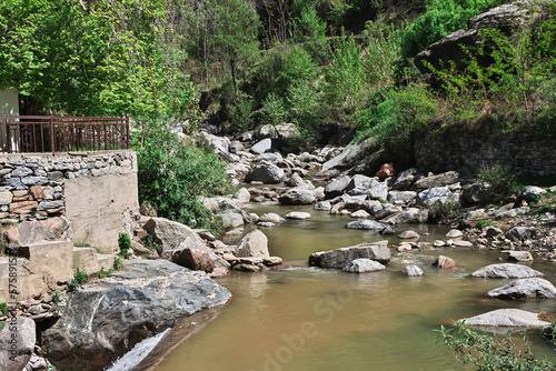 Nature close Mingora in Swat valley of Himalayas, Pakistan photo