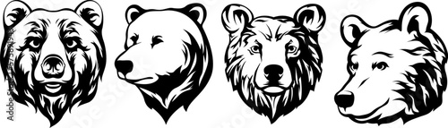 Head of bear. Abstract character illustration variant set. Graphic logo design template for emblem. Image of portrait.