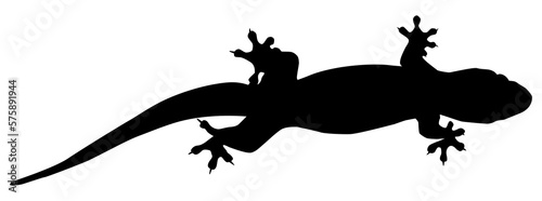 House Lizard also called House Gecko or Gekkonidae Silhouette for Art Illustration  Logo  Pictogram or Graphic Design Element. Format PNG