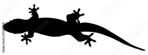 House Lizard also called House Gecko or Gekkonidae Silhouette for Art Illustration, Logo, Pictogram or Graphic Design Element. Format PNG photo