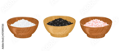 Salt set. Different types of salt.  White, pink and black salt in wooden bowl isolated on white background. Vector cartoon food illustration. 