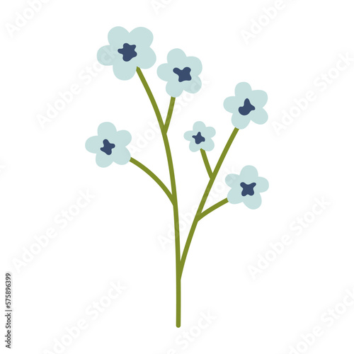 Vector illustration of plant with little flowers in flat design. Light blue chamomile, forget-me-not or other flowers. Blossom flowers in blue color. Spring botanical illustration.