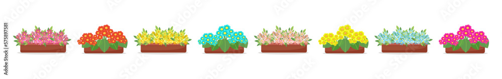 Konstfotografi Set Blooming flowers in pots in flat style, big collection of spring flowers in