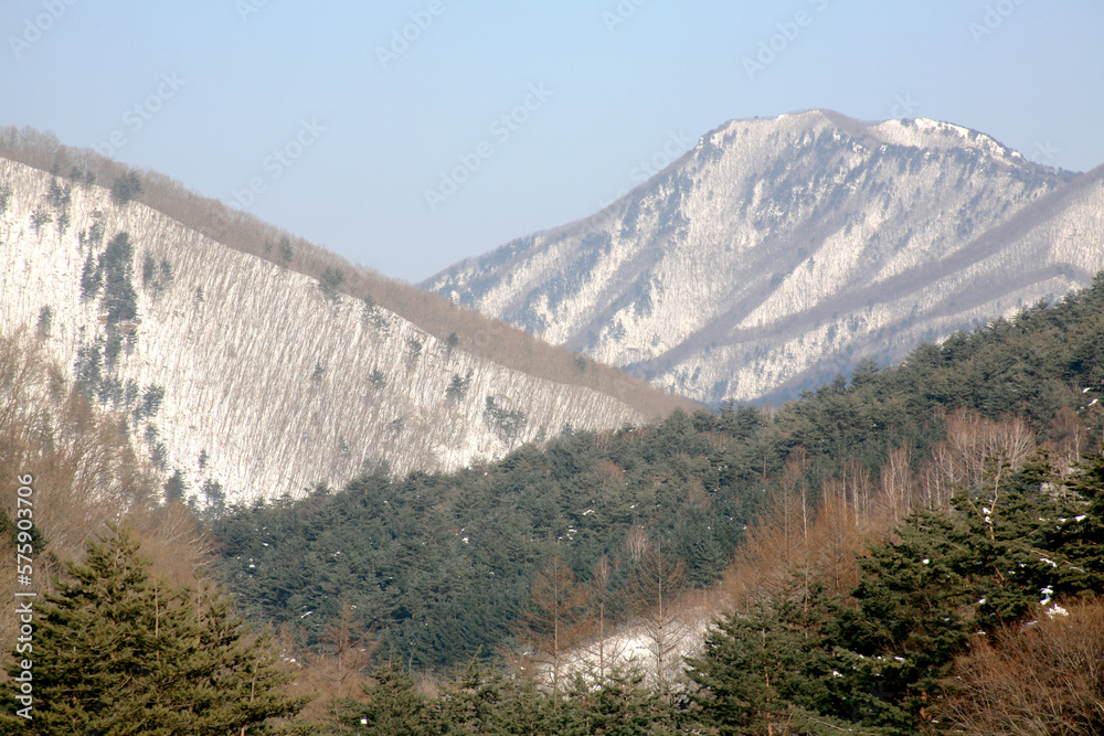 the scenery of the winter mountain