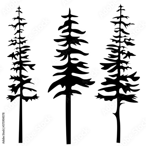 Forest woods trees vector illustration set collection for logo - Black silhouette of different spruce and fire, isolated on white background