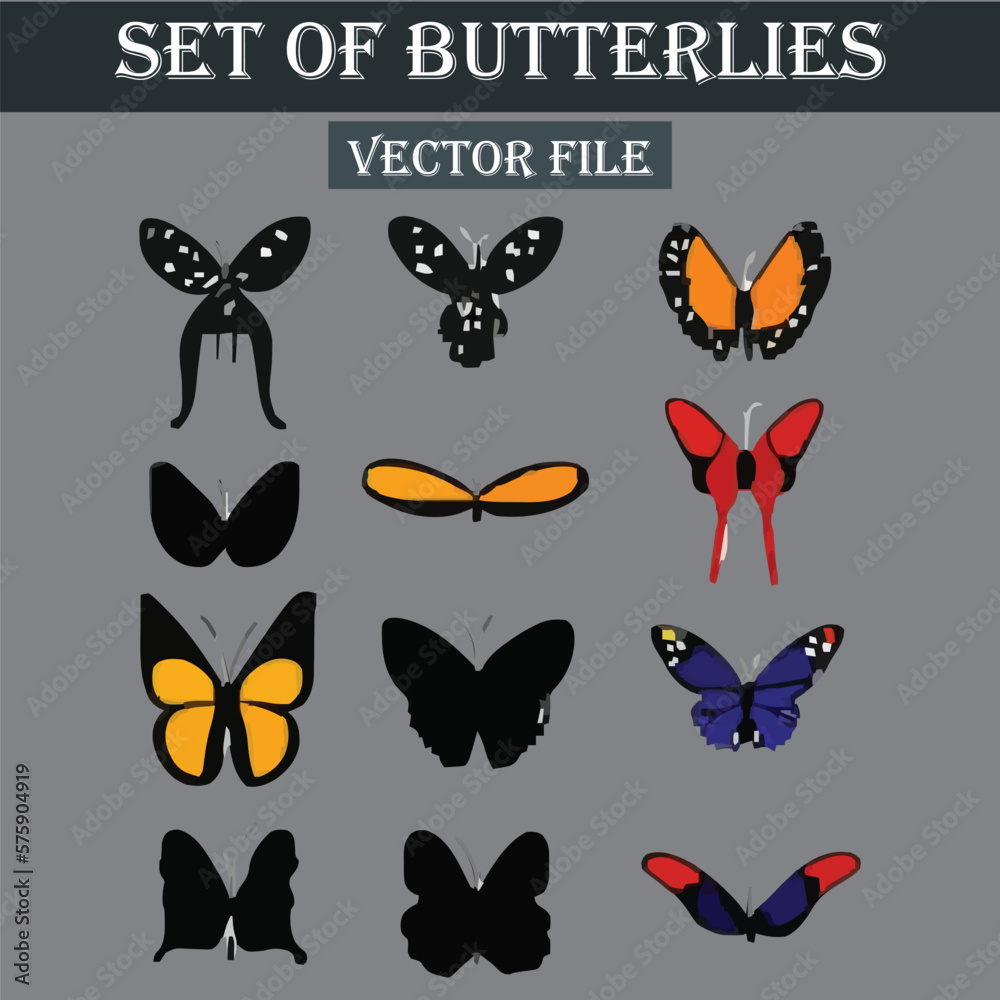 Set of beautiful and colorful butterflies Set of beautiful and colorful butterflies