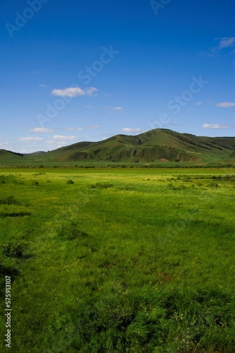 Bashang grassland in Inner Mongolia photo