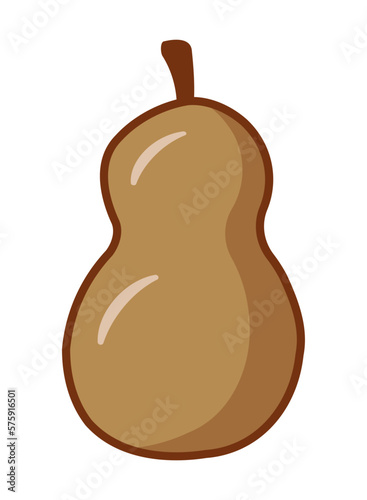 Illustration of green pumpkin squash for Halloween or Thanksgiving festival's decoration. Autumn clipart. Isolated vector and PNG illustration on transparent background.