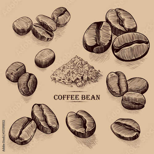 .Coffee beans sketches collection.Varied coffee beans and ground coffee.  Hand-drawn .illustration in vintage style.Isolated design elements..
