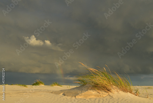 Primärdünen im Licht vor Regenwolken