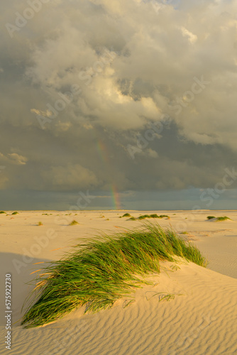 Regenbogen über Dünenlandschaft