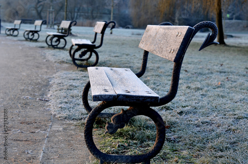 snake bench, the park bench frame creates a cast iron casting of a dragon or snake with an arrow or a spearhead instead of a tail. mythical atmosphere in the park. winter morning, all from hoarfrost