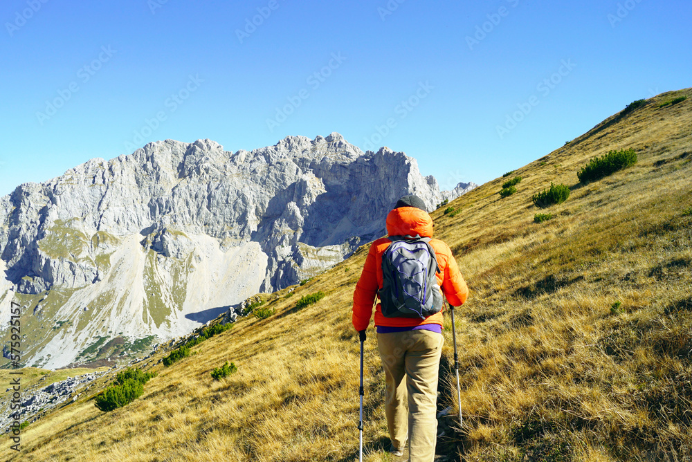 A tourist with a backpack and hiking sticks in his hands walks along a path in a picturesque mountainous area. Rest in the national park Durmitor, Montenegro.