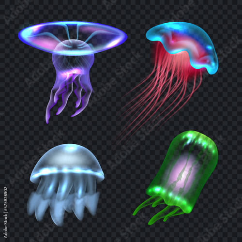 Jellyfish. Colored underwater realistic transparent jelly animals collection set decent vector template