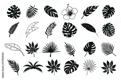 Vector Tropical summer element design with minimalist style