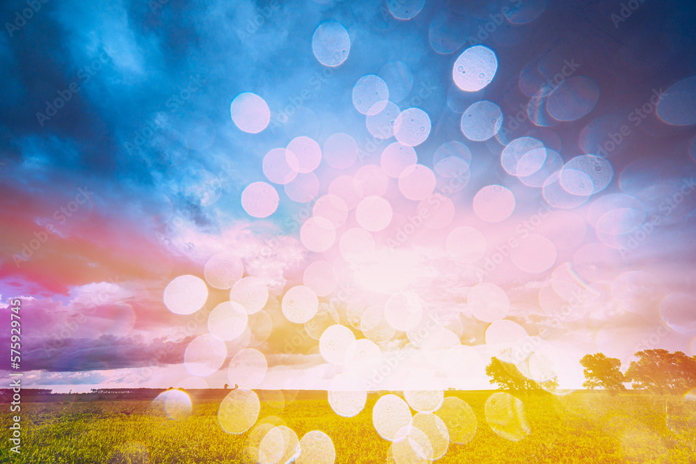 Green Spring Grass Meadow With Bright Sunlight. Sunny Beams Spring Background. Abstract Blurred Bokeh Boke Background. Concept Of Spring Nature. Green Spring Grass Meadow With Bright Sunlight. Sunny Beams Spring Background. Abstract Blurred Bokeh Boke Background. Concept Of Spring Nature.