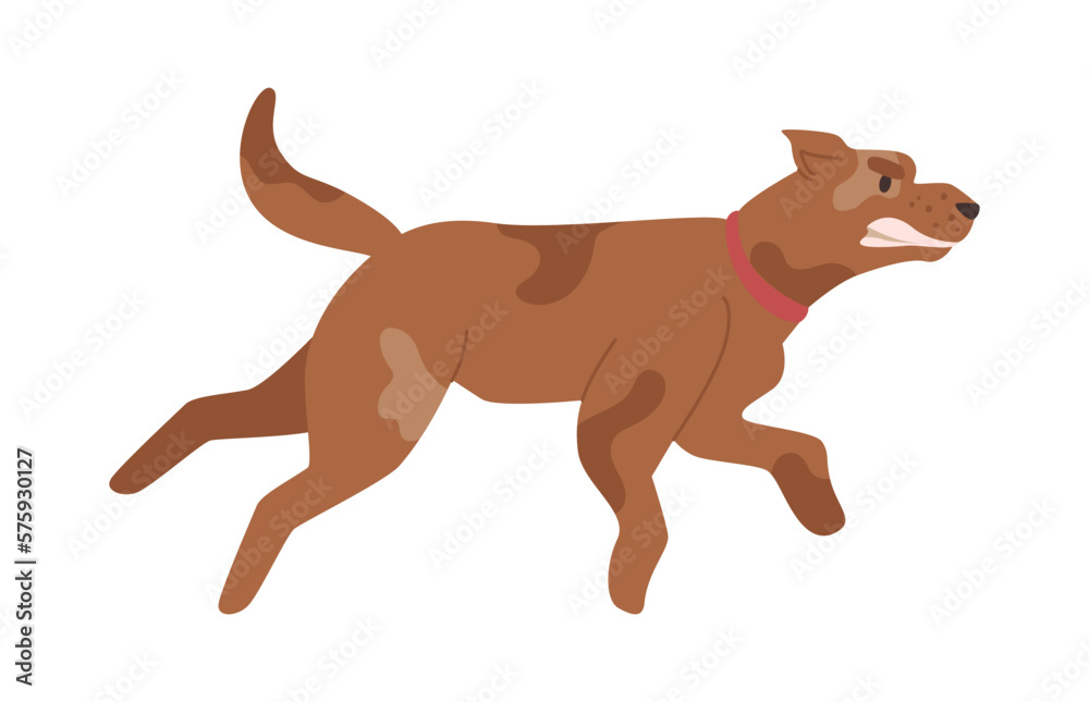 Barking and running angry dog, isolated canine animal chasing after. Stray pet, annoyed or wild mammal personage from street. Flat cartoon, vector illustration
