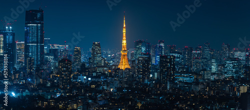 日本　東京都渋谷区の恵比寿ガーデンプレイスタワーのスカイラウンジから眺める東京の夜景と東京タワー