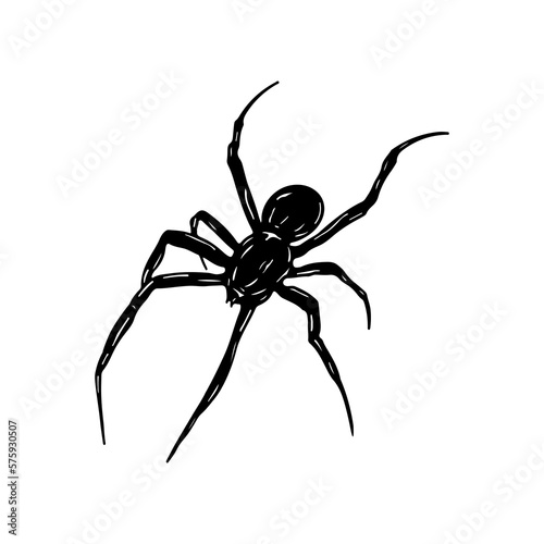 vector illustration of black spider