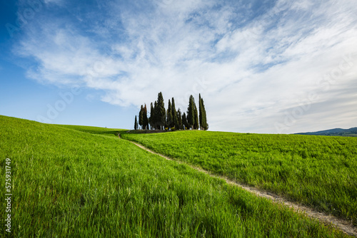 Landscape in San Quirico d'Orcia, Tuscany, Italy. Tuscany cypresses.