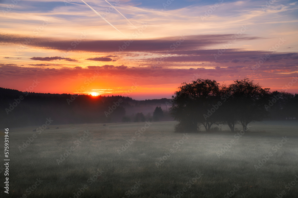 Sunrise over a neighboring forest with meadow in the foreground. Pasture landscape