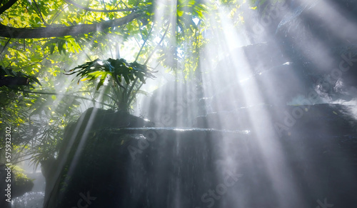 The Tropical jungle with river and sun beam and foggy in the garden.