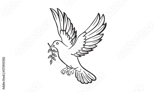 white Parrots  flying