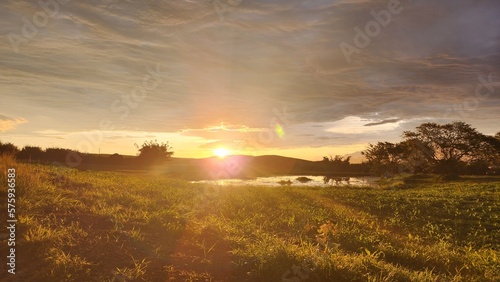Canvas Print sunset over the field